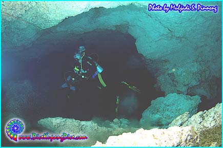 Image description