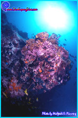 Image description