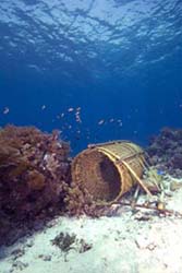 Alor FishTrap