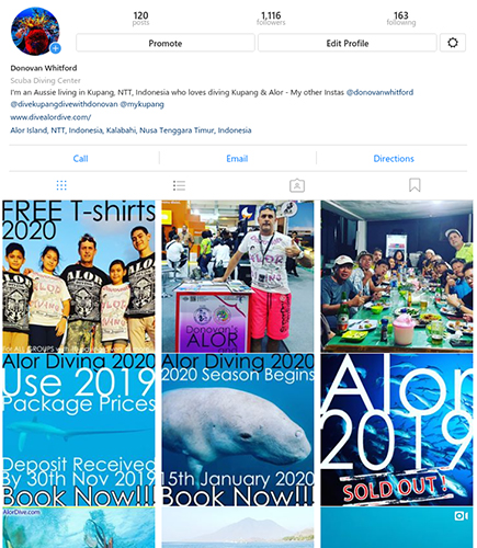 Dive Alor, Alor Dive, scuba, Diving Alor, Diver, Divers, Indonesia, Asia, Eastern Indonesia, Big Fish, Sharks, Dolphin, Sunfish, Orcas, Whalesharks, Mantas, Land Based, Liveaboard, Underwater, Holidays, eco, resort, resorts, island, islands, NTT, Nusa Tenggara Timur, East Nusa Tenggara, Indonesia