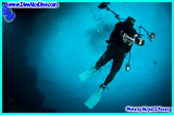 donovan, donovan whitford, myKupang, my, kupang, my kupang, Dive Alor, Alor Dive, scuba, Diving Alor, Diver, Divers, Indonesia, Asia, Eastern Indonesia, Big Fish, Sharks, Dolphin, Sunfish, Orcas, Whalesharks, Mantas, Land Based, Liveaboard, Underwater, Holidays, eco, resort, resorts, island, islands, NTT, Nusa Tenggara Timur, East Nusa Tenggara, Indonesia