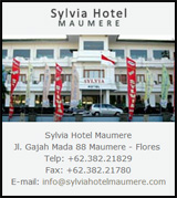 Sylvia Hotel MAUMERE